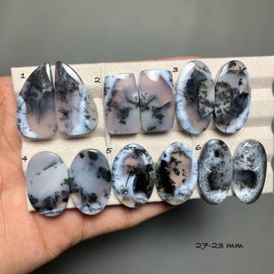May include: A collection of twelve polished dendritic agate cabochons with translucent white and grey bases featuring black fern-like inclusions. The stones are arranged in two rows, labeled 1 through 6, with text indicating 27-23 mm dimensions.
