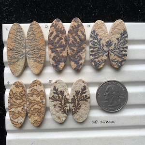 Könnte beinhalten: Fünf Paare ovaler Dendriten-Achat-Cabochons, jeweils mit einzigartigen Mustern in Braun, Schwarz und Beige. Die Cabochons werden auf einer weißen Oberfläche präsentiert, mit einer US-Viertelnote als Größenreferenz. Die Größe beträgt 3,2-3,8 cm.