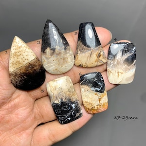May include: Six polished cabochons with black, cream, and tan patterns, numbered one through six. The stones feature varied shapes including teardrop, rectangular, and trapezoidal forms. The text 37-29mm is visible in the bottom right corner.