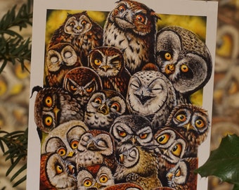 Carte postale hibou, famille de hiboux
