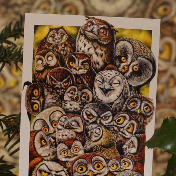Owls postcard owl family