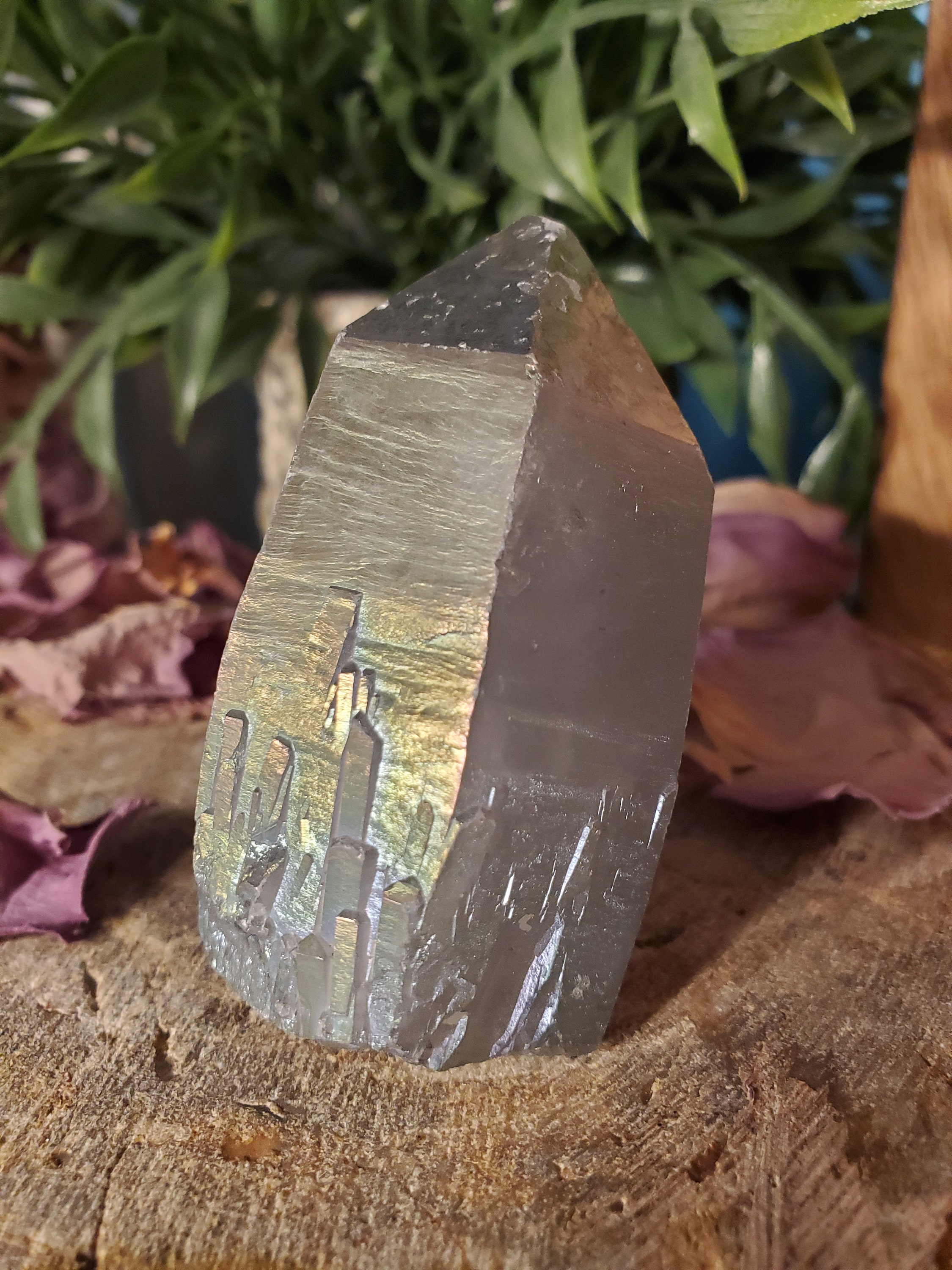 angel aura quartz point angel aura quartz point