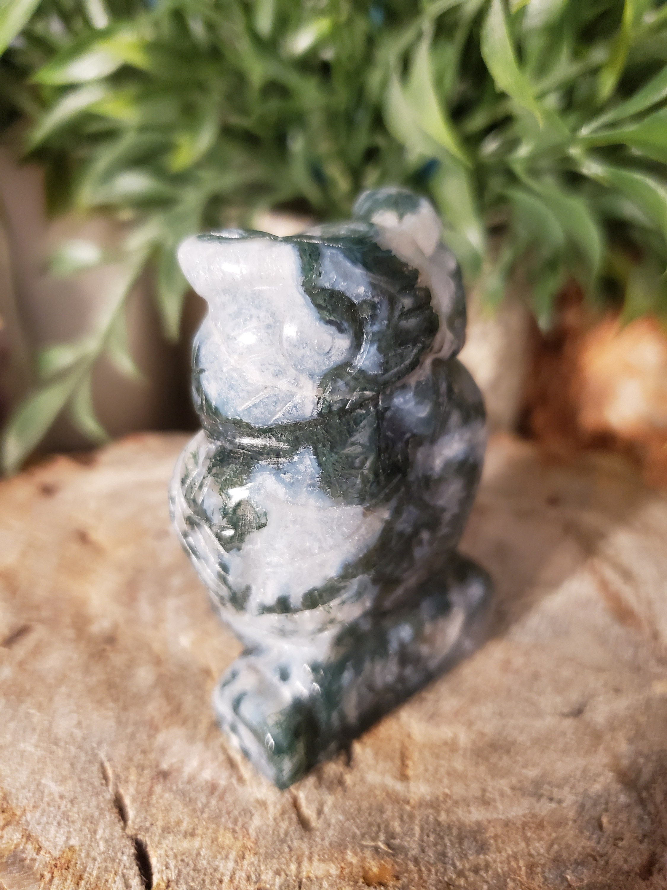 Ocean Jasper Owl Spirit Animal Totem