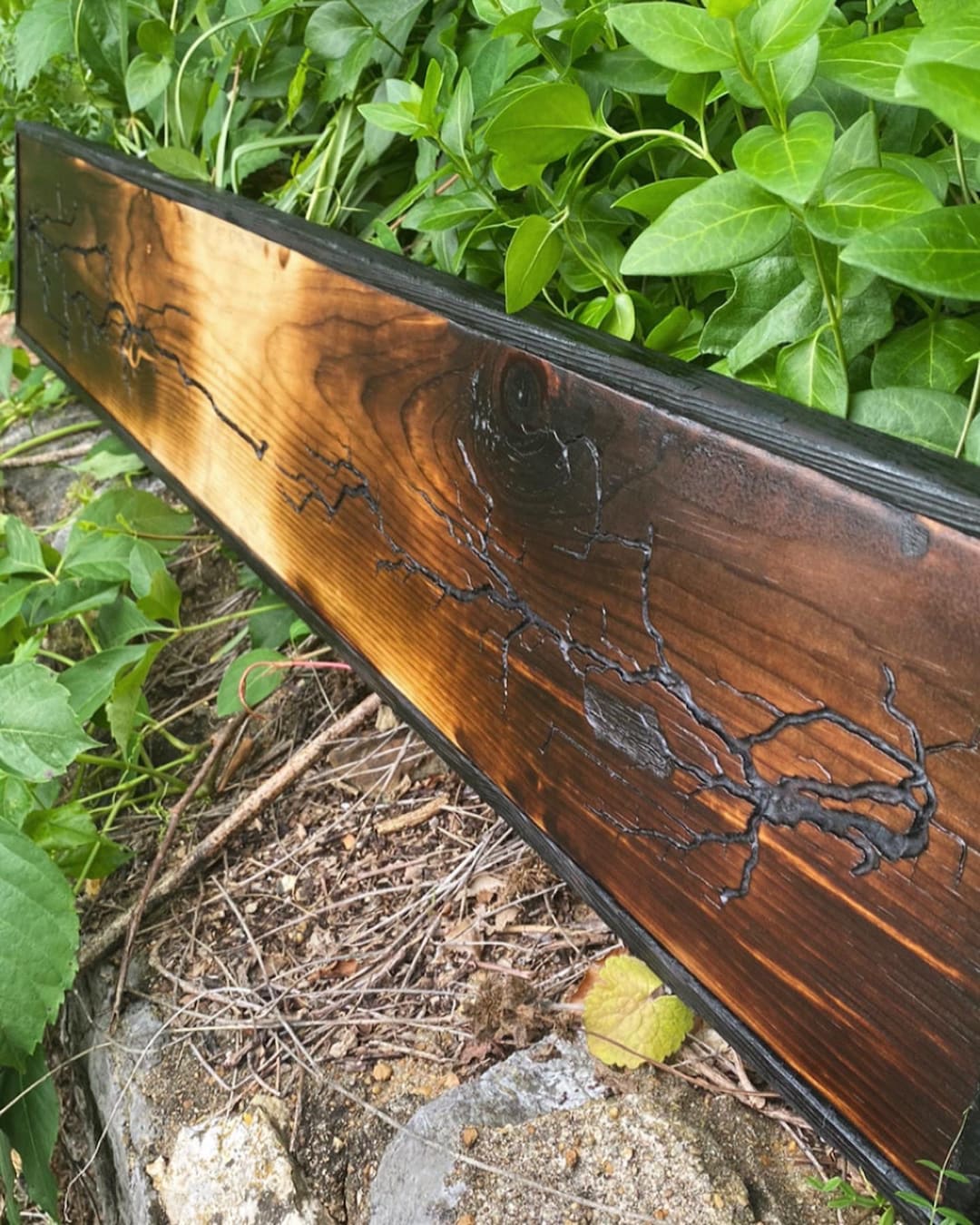 Wood Wall Art / Burnt Wood Art / Wall Art / Fractal Wood Burn Art