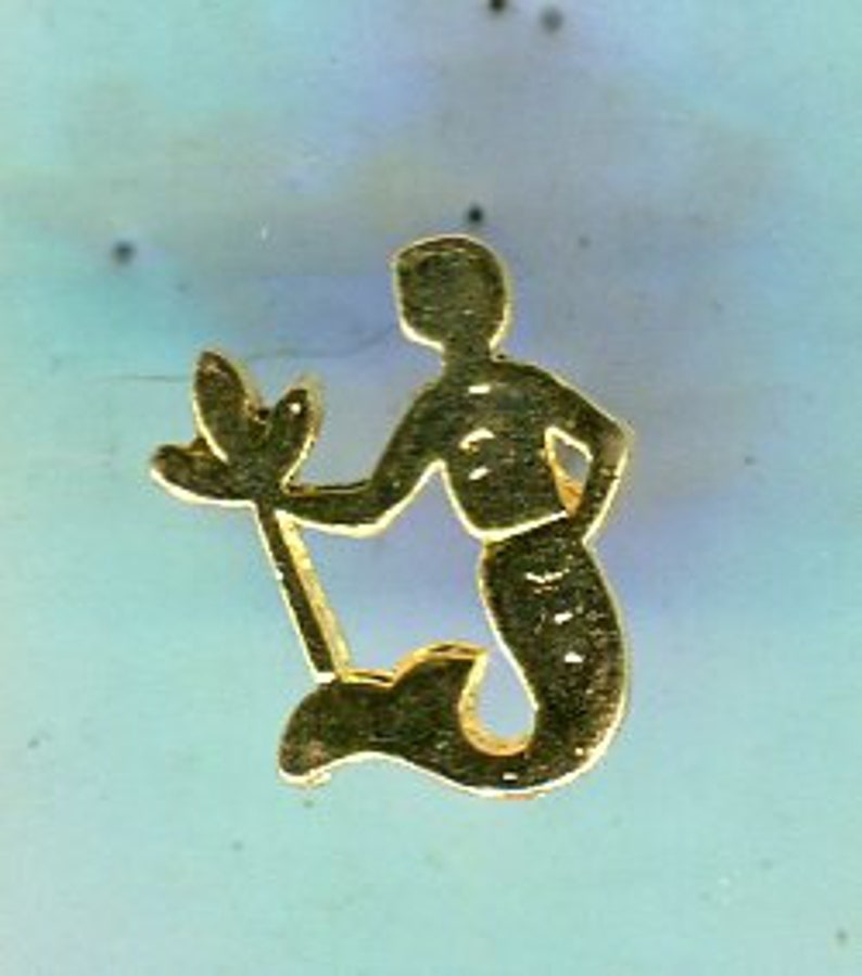Jaren '80 Vintage Pin Zodiac Sign Waterman goud 14 x 10 mm afbeelding 1