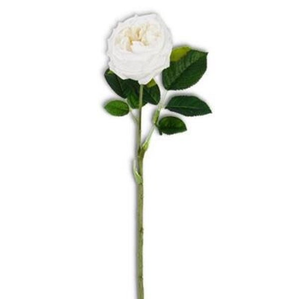 24” white real touch Austin rose stem, floral stems, 16411A-WH