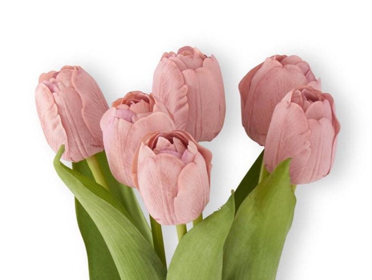 13 Coral Real Touch Tulip Bundle 6 Stem Tulip Bundle Etsy