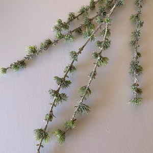 May include: A set of three artificial pine sprigs with frosted green leaves. The sprigs are arranged in a fan shape and are perfect for adding a touch of winter greenery to your home decor.