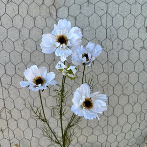 32” cream cosmos spray, cosmos flower in cream, 4118C