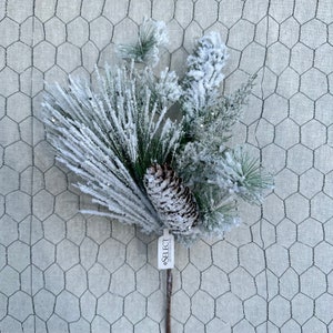 May include: A snowy pine sprig with a frosted pine cone, perfect for winter decor. The sprig is attached to a brown stick and has a tag that says "SELECT".