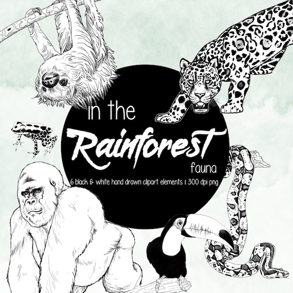 Dans The Rainforest Fauna - Six éléments clipart dessinés à la main d’animaux de la forêt tropicale en noir et blanc. Utilisation commerciale limitée incluse