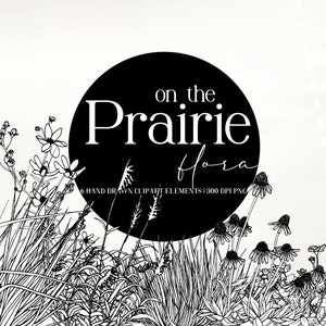 On The Prairie Flora - Six éléments cliparts dessinés à la main de graminées et de fleurs des prairies américaines en noir et blanc.