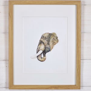 Elephant Fine Art Print