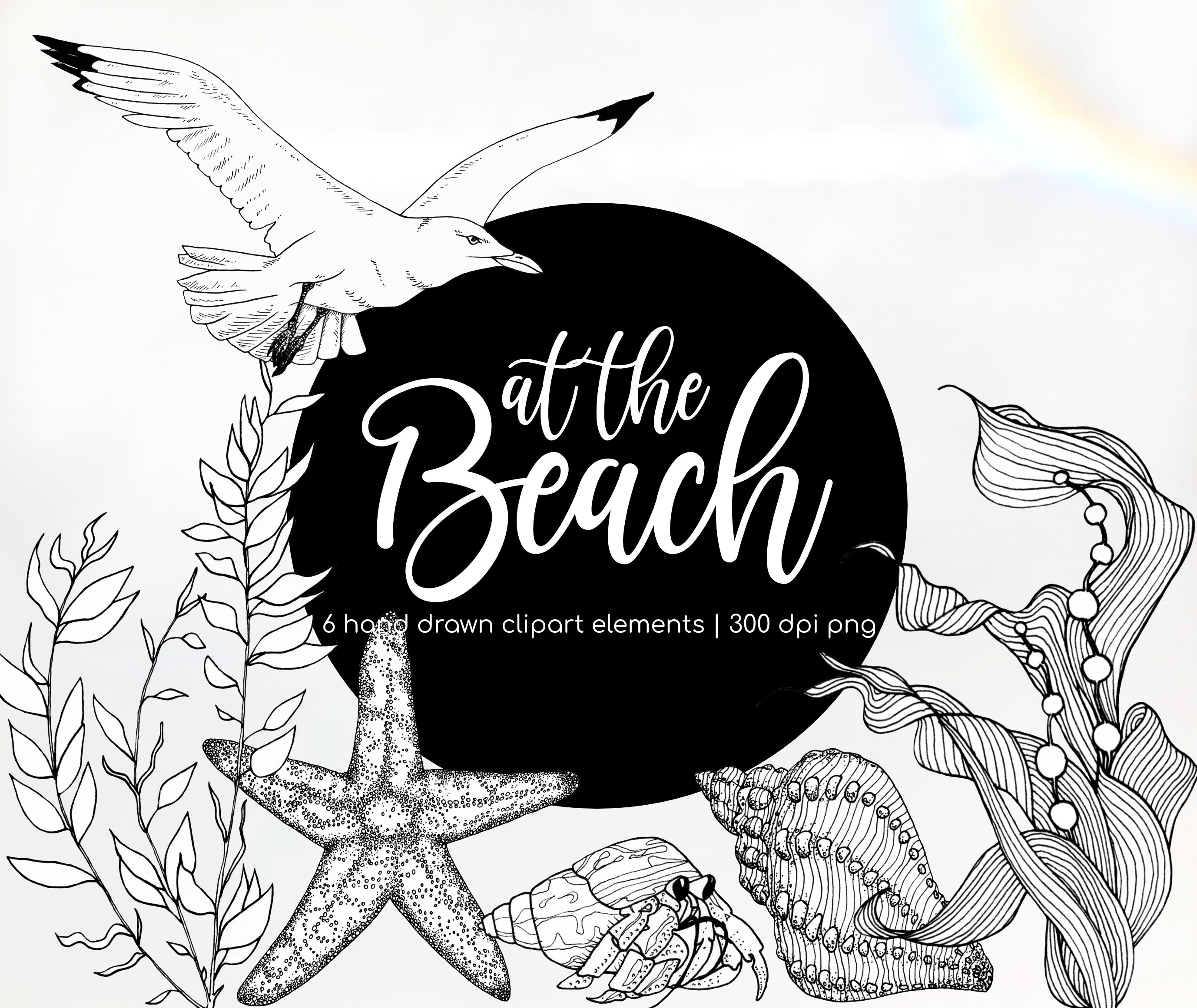 At the Beach Clipart Six Hand Drawn Clipart Elements of Beach Plants