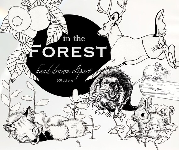 In The Forest Clipart Etsy