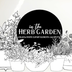 In The Herb Garden - Six hand drawn clipart elements of potted herb plants in black and white. Limited commercial use included
