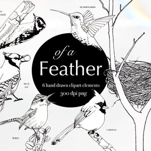 May include: Black and white line art illustrations of six different birds, including a hummingbird, a downy woodpecker, a blue jay, a wren, a cardinal, and a nest. The text "of a Feather" is written in a decorative font.