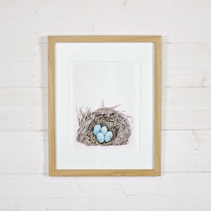 Robins Nest Fine Art Print