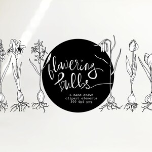 May include: Black and white line art illustrations of six different types of flowering bulbs. The bulbs are drawn with roots and stems, and some have flowers. The text "Flowering Bulbs" is written in a decorative font on a black circle.