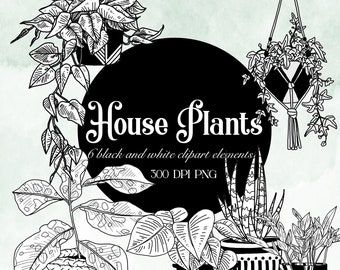 Clipart Piante Da Appartamento