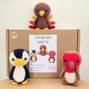 Crochet kit for cute amigurumi animal Christmas birds/toys/bundle/DIY crochet kit/crafting kit/starter pack