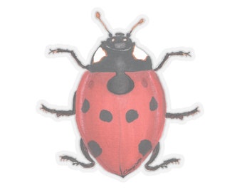 Ladybug - Stickers from Nature