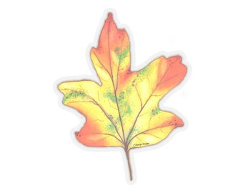 Maple Leaf - Stickers from Nature