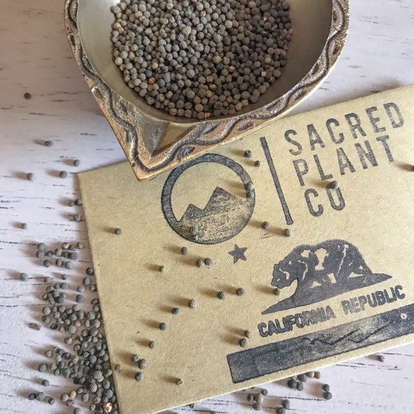 California Poppy Seeds | Eschscholzia californica Seeds | California State Flower Seeds | Poppy Flower Seeds | Wild Flower Seeds