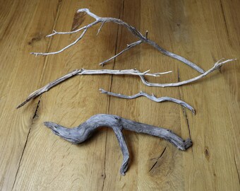 manzanita branches etsy