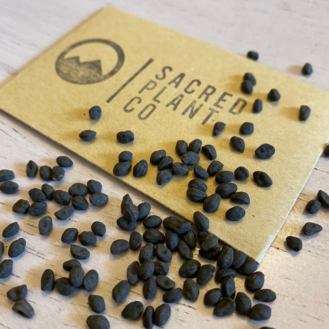 Cardinal Climber Vine Seeds Ipomoea Quamoclit Cardinalis Etsy