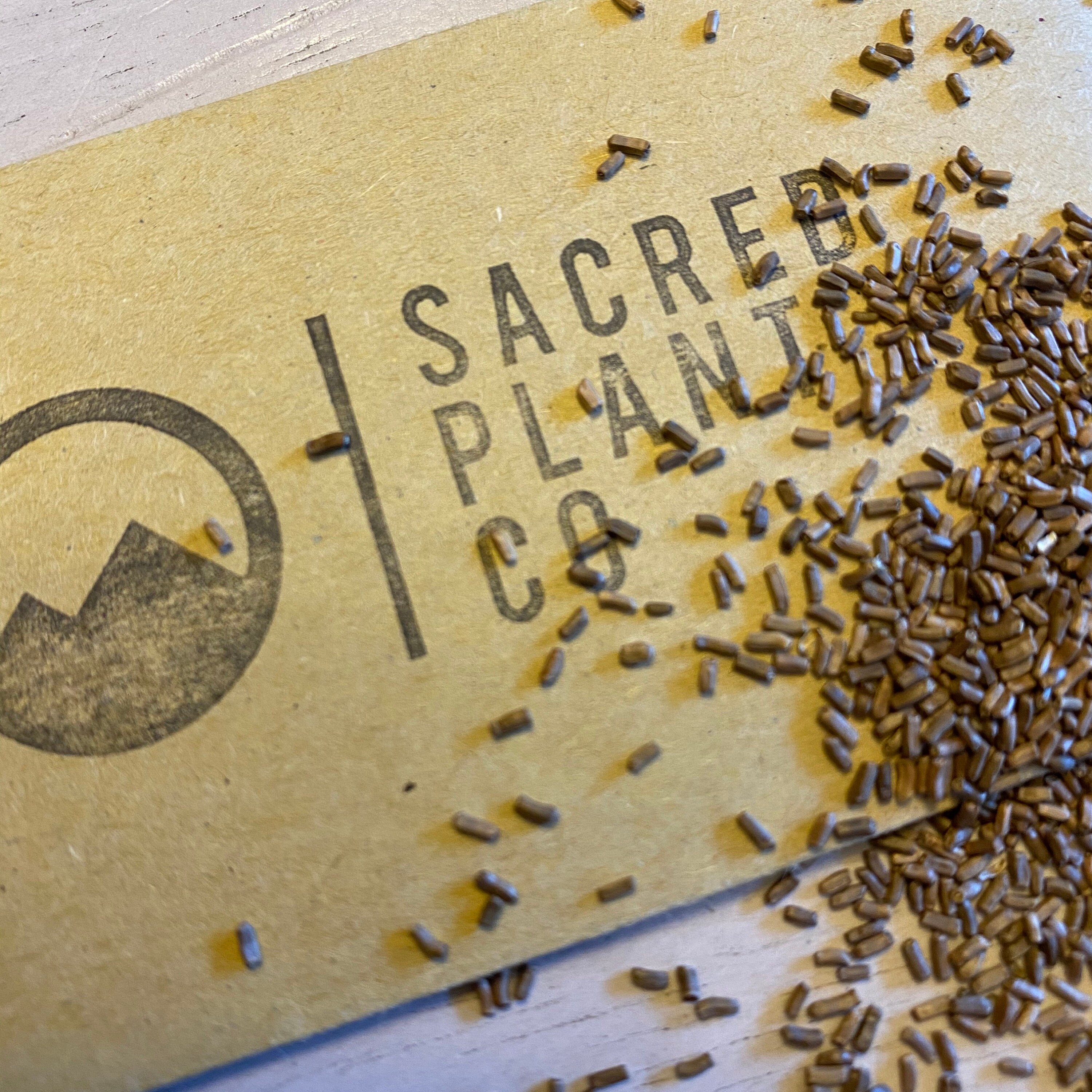 Strawflower Seeds Strawflower Seed Mix Bulk Strawflower Etsy