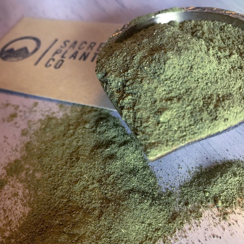 Moringa Powder with Sacred Plant Co logo.