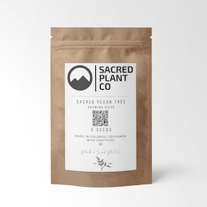 Pecan Tree Seeds | Carya illinoensis Tree Seeds | Pecan Nut Tree | Pecan Nut Tree Seeds