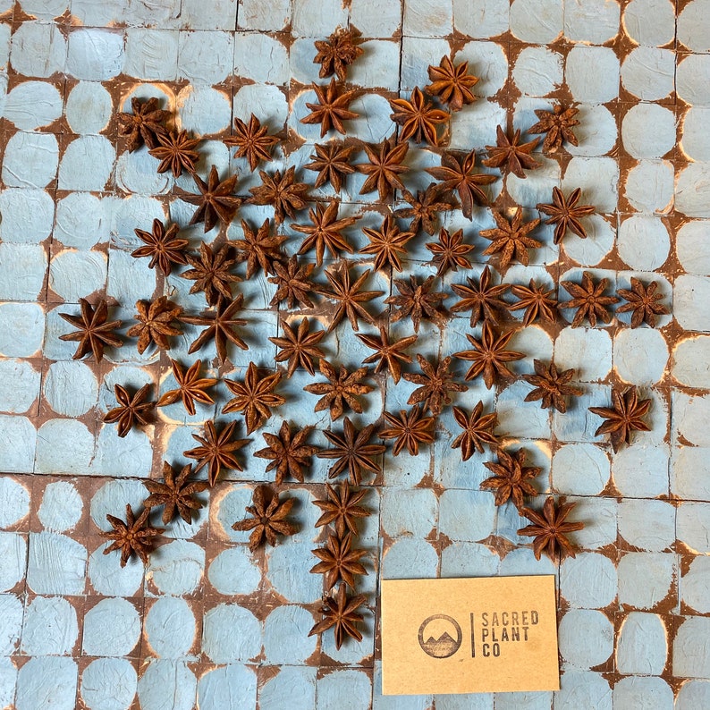 Star made from Bulk Star Anise.