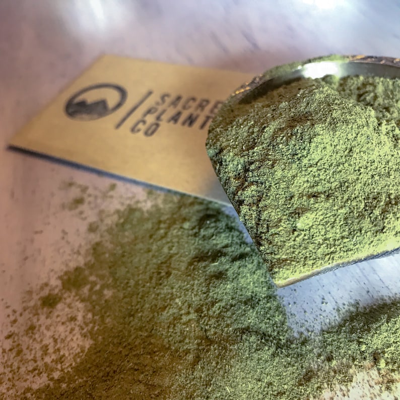 Close up Moringa Powder.