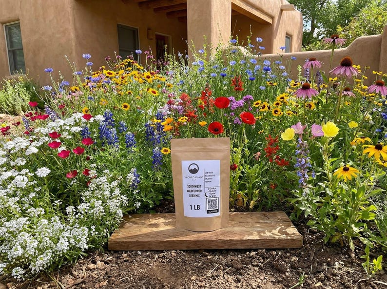 Southwest wildflower garden blooming in front of an adobe-style home with a 1 lb seed mix bag displayed on a wooden board.