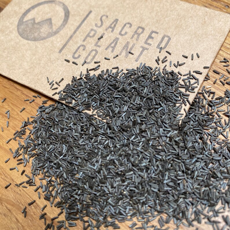 Black Eyed Susan Seeds Gloriosa Daisy Seeds Yellow Oxeye Etsy