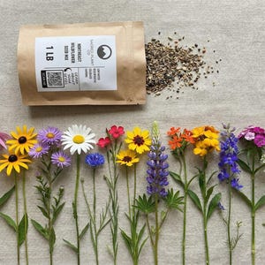 Northeast Wildflower Mix | Sacred Plant Co Northeast Wildflower Mix | Bulk Northeast Wildflower Mix |