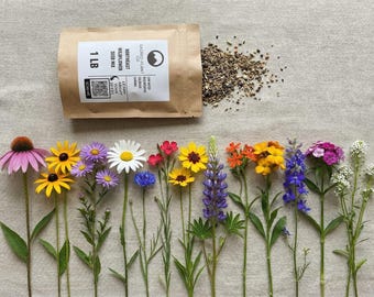 Northeast Wildflower Mix | Sacred Plant Co Northeast Wildflower Mix | Bulk Northeast Wildflower Mix |