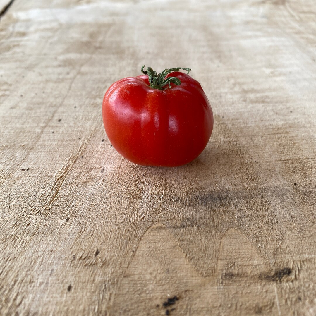 Glacier Tomato Seeds Early Tomato Seeds Cold Weather Tomato Seeds Bulk