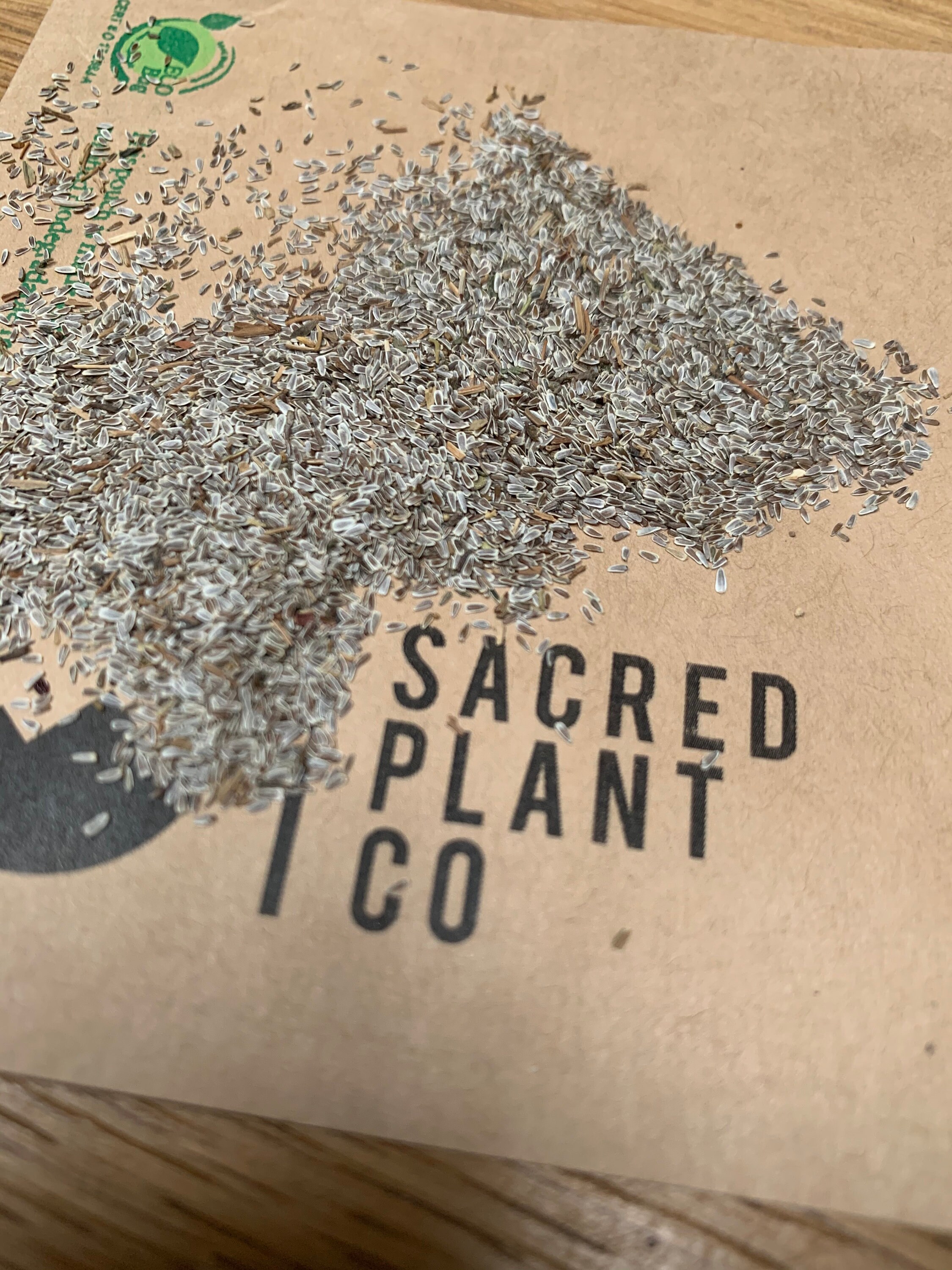 Western Yarrow Seeds Woolly Yarrow Seeds White Yarrow Etsy