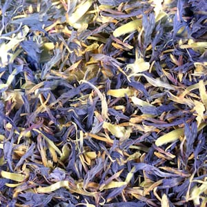 Cornflower Petals.