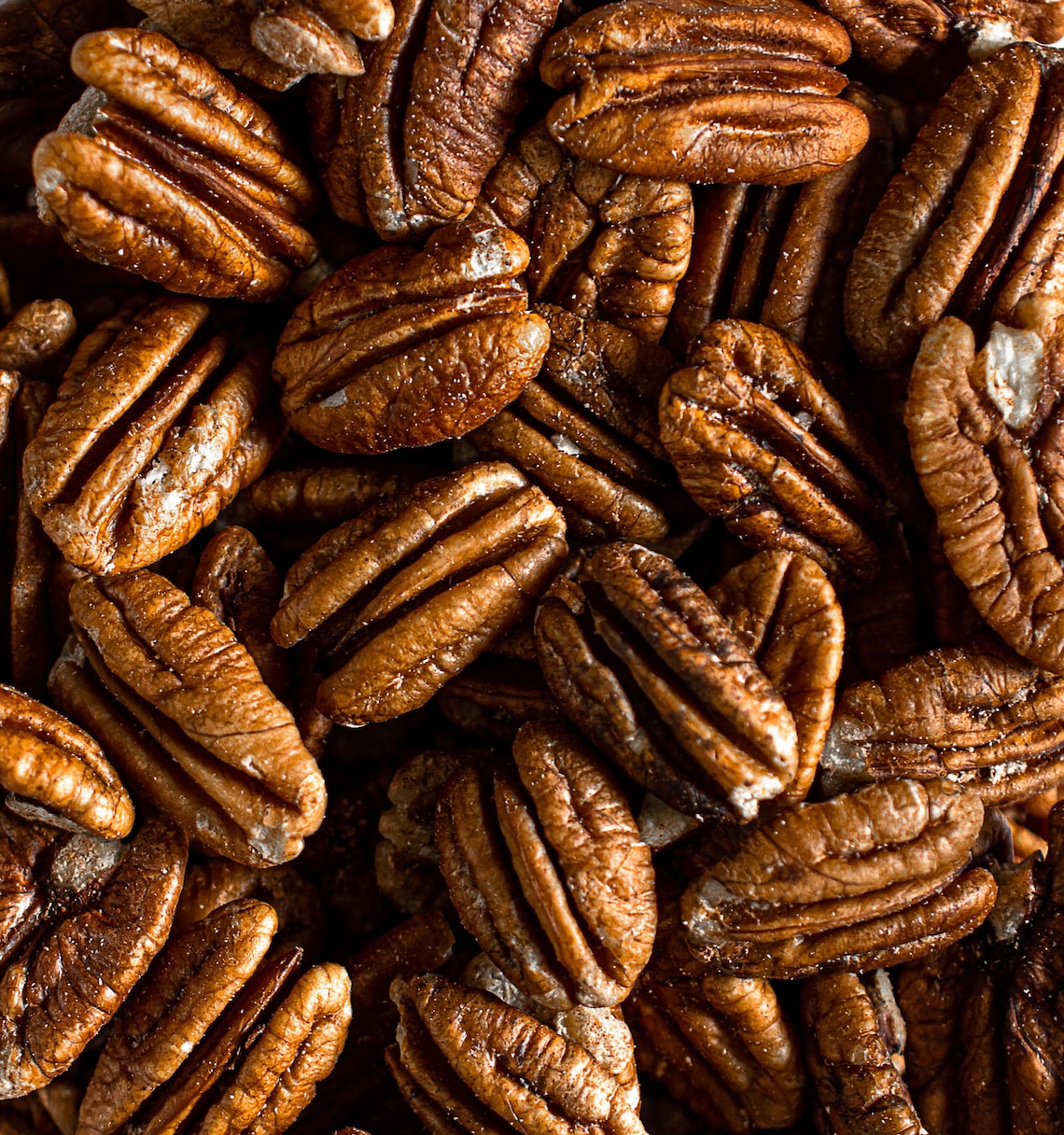 Pecan Tree Seeds Carya illinoensis Tree Seeds Pecan Nut Etsy