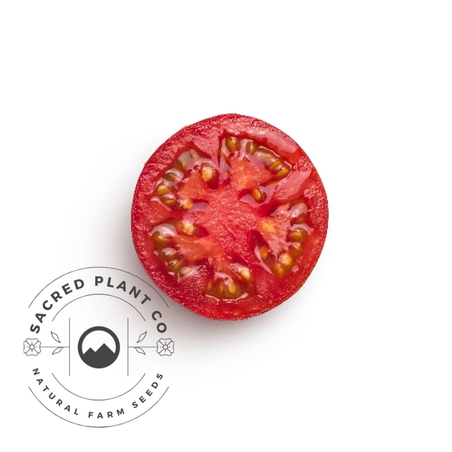 Brandywine Tomato Seeds Black Brandywine Heirloom Tomato Etsy