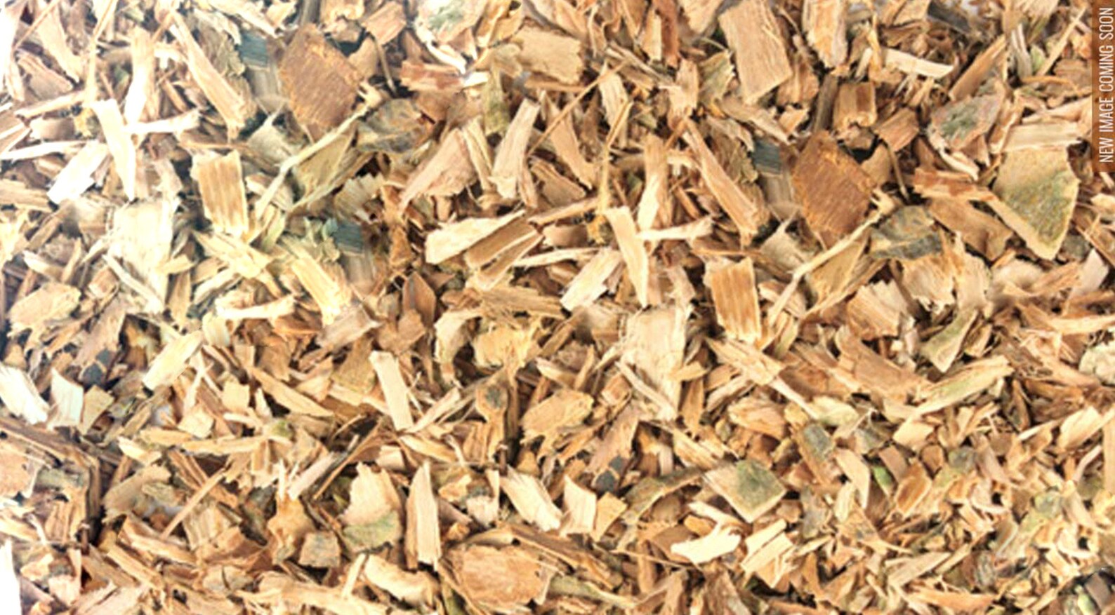Bulk White Willow Bark 1 Lbs Willow Bark Salix alba Etsy