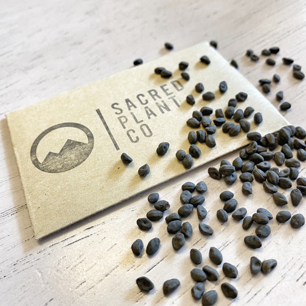 Cardinal Vine Seeds Etsy