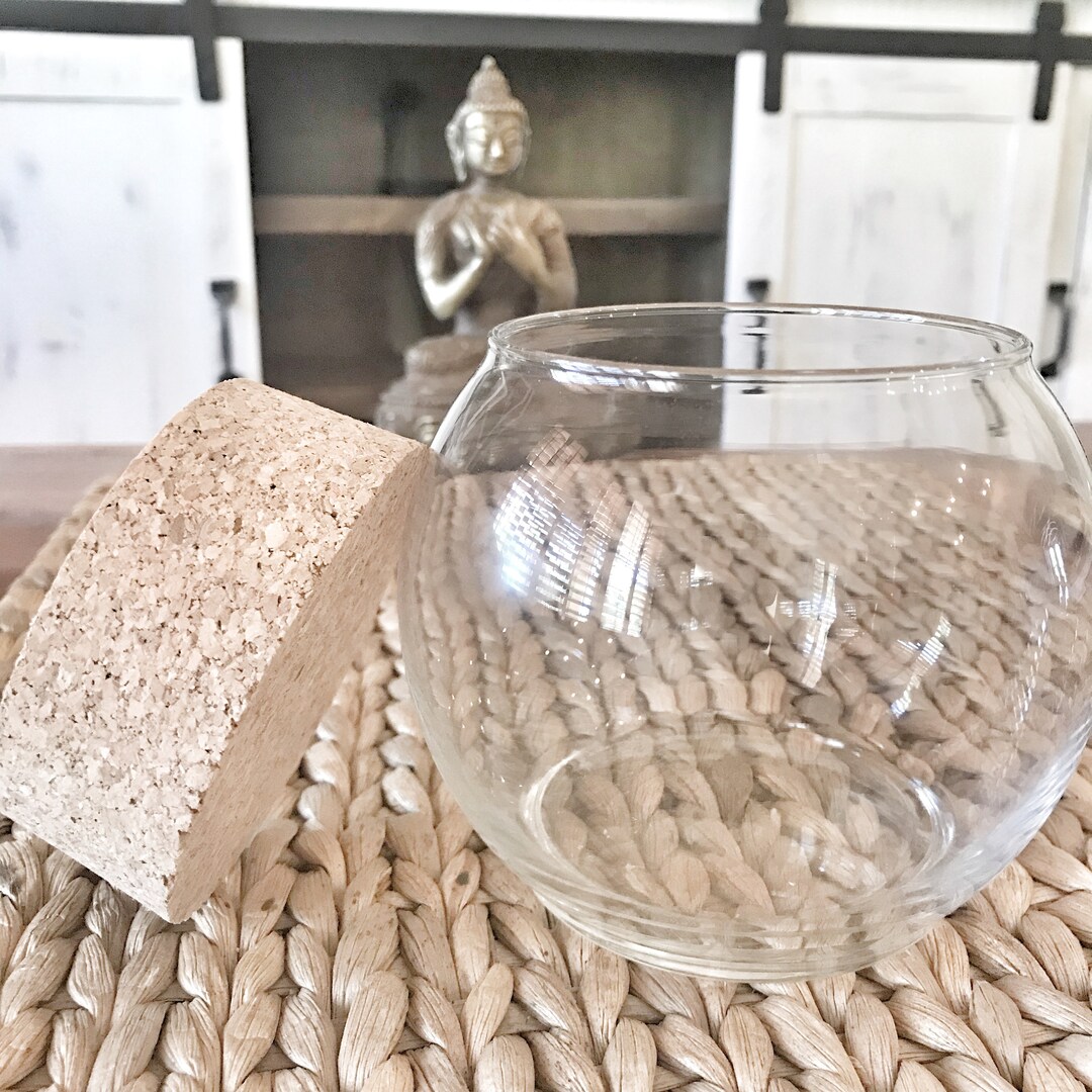 Empty Marimo Aquarium | Empty Desk Aquarium | Small Globe Aquarium With ...