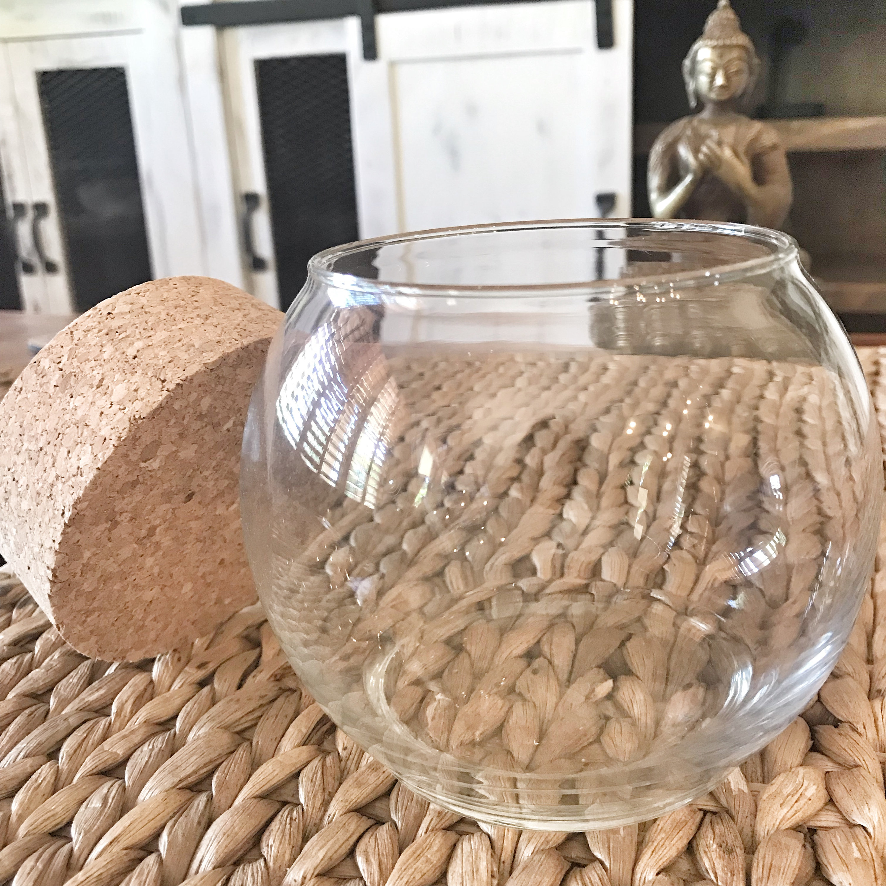 Empty Marimo Aquarium | Empty Desk Aquarium | Small Globe Aquarium With ...