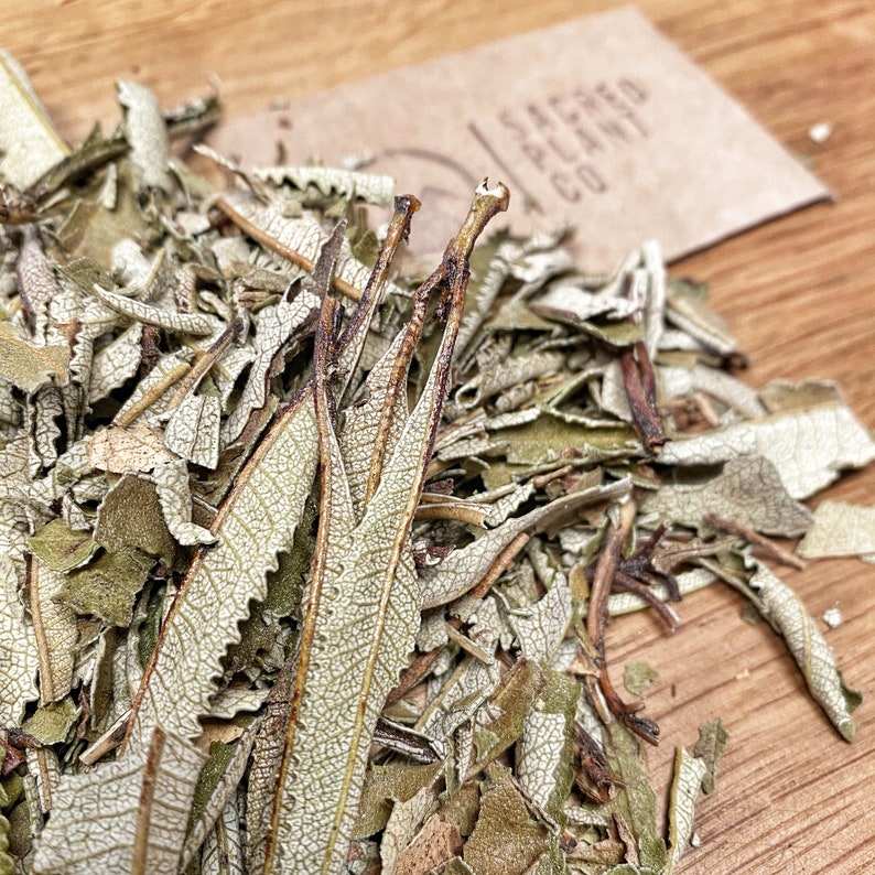 Yerba Santa 1 Pfund Bulk Yerba Santa Eriodictyon Etsy