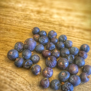 Juniper Berry | Juniper Berries | Wild Harvest from the Colorado Mountains | Juniperus Tree Berry - Seeds